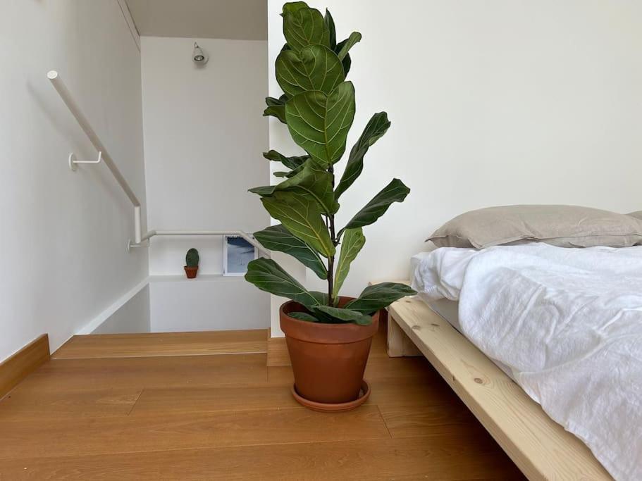 Appartement Casa Alegria à Trente Extérieur photo