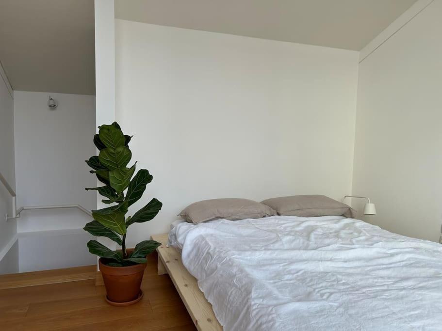 Appartement Casa Alegria à Trente Extérieur photo